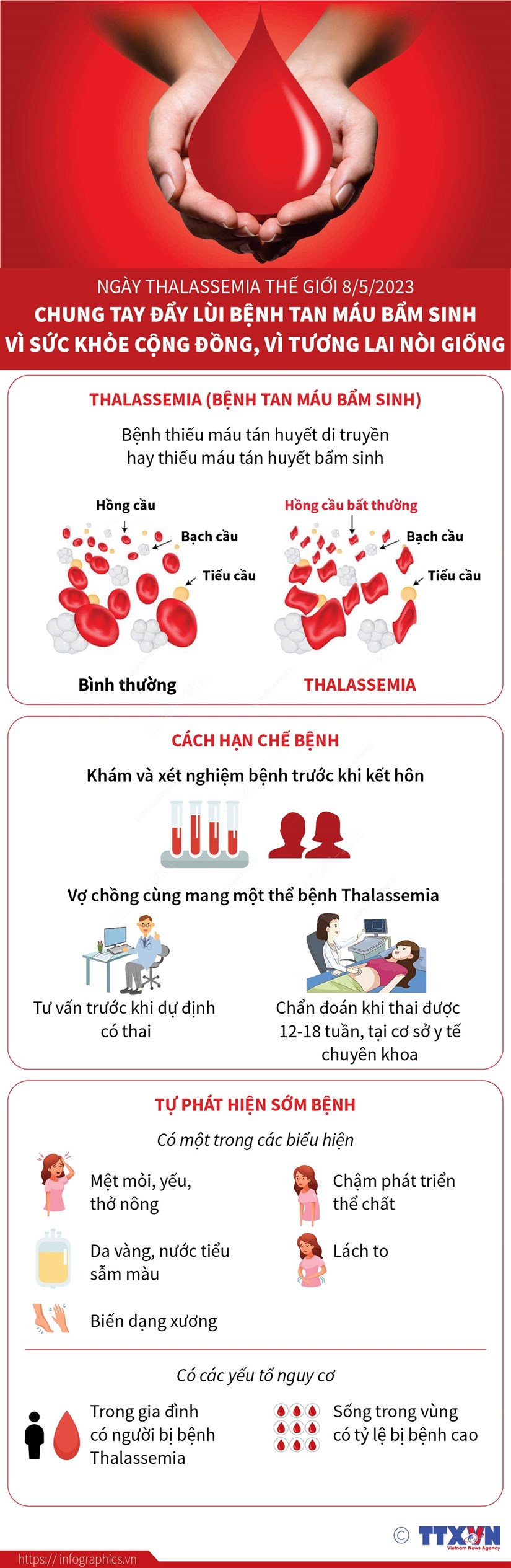Ngày Thalassemia thế giới năm 2023: Chung tay đẩy lùi bệnh tan máu bẩm sinh vì sức khỏe cộng đồng, vì tương lai nòi giống