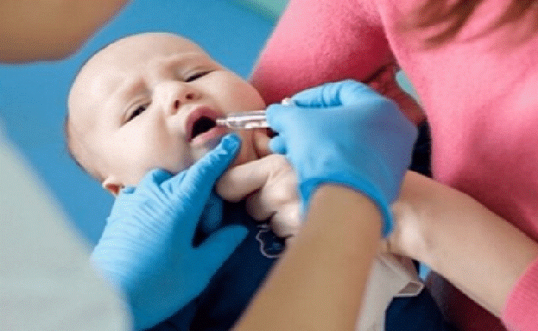 Quý 2/2024, dự kiến trẻ em ở nước ta sẽ được uống miễn phí vaccine phòng bệnh rotavirus.