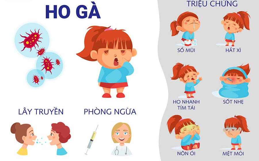 Những điều cần biết về bệnh ho gà