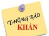 THÔNG BÁO KHẨN SỐ 5 CỦA BỘ Y TẾ