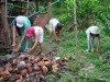 Loại bỏ, lật úp các vật phế thải như chai, lọ, vỏ dừa, lốp vỏ xe cũ, các hốc chứa nước; lật úp các dụng cụ chứa nước chưa sử dụng không cho muỗi đẻ trứng.