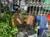 Dịch sốt xuất huyết đang lan rộng và số ca mắc tăng nhanh nhưng nhiều gia đình vẫn chủ quan, vẫn để môi trường tạo thuận lợi cho lăng quăng phát triển.