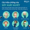 Biện pháp phòng chống bệnh Sốt xuất huyết cho trẻ