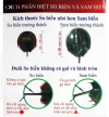 CẨN THẬN KHI ĂN SAM BIỂN