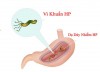 Viêm loét dạ dày tá tràng là bệnh lý tiêu hóa phổ biến.