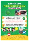KHUYẾN CÁO PHÒNG BỆNH CÚM GIA CẦM LÂY SANG NGƯỜI