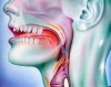 Loạn cảm họng thường gặp ở phụ nữ tuổi 40 – 50 trong giai đoạn tiền mãn kinh.