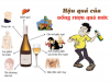 Nghiện rượu nặng và lâu dài là nguyên nhân phổ biến nhất gây ra viêm tụy mạn tính