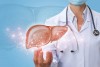 Một lá gan khoẻ mạnh sẽ thanh thải các chất độc một cách tự nhiên.
