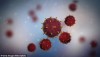 Người thứ 6 trên thế giới khỏi HIV nhờ cấy ghép tủy xương điều trị bệnh bạch cầu. Tuy nhiên, điều đặc biệt là tủy xương hiến không hề mang đột biến gene CCR5 delta 32 như 5 trường hợp trước đó.