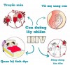 Con đường lây truyền HIV cơ bản.