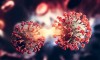 Covid nóng trở lại do xuất hiện chủng virus mới