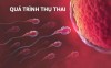6 cách cải thiện khả năng thụ thai một cách tự nhiên