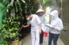 Công tác giám sát, phòng chống sốt xuất huyết tiếp tục được tăng cường