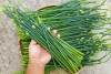 Cây rau hẹ chưa nhiều chất dinh dưỡng có lợi cho sức khỏe người dùng.