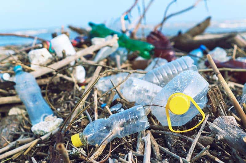 Rác thải nhựa ảnh hưởng đến sức khỏe con người, môi trường sống và cả sinh vật biển.