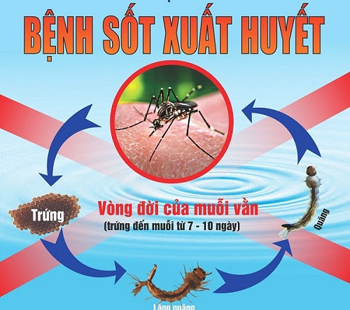 Tăng cường phòng chống sốt xuất huyết và hưởng ứng ngày ASEAN phòng chống sốt xuất huyết